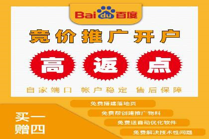 百度竞价排名案例分析：提升网站流量与转化率